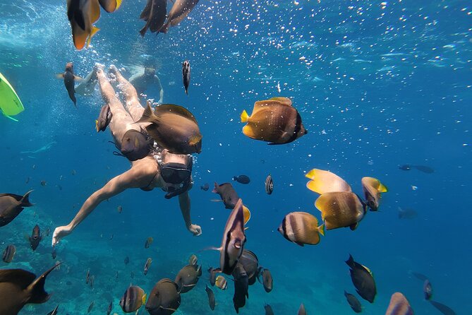 Snorkeling 4 Spot With Manta Bay Or Optional Land Trip - Wall Point for a change of scenery