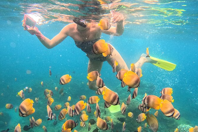 Snorkeling 4 Spot With Manta Bay Or Optional Land Trip - How the guides help in the water