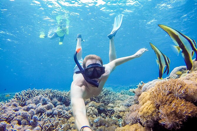 Snorkeling adventure to the manta ray habitat in Nusa Penida - Starting at Banjar Nyuh Harbor