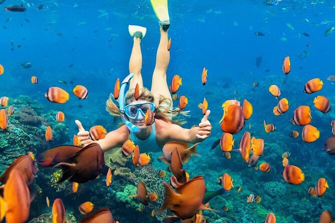 Snorkeling adventure to the manta ray habitat in Nusa Penida - Who will enjoy this Nusa Penida outing?