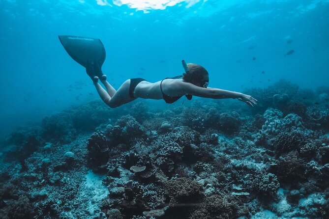 Snorkeling and Freediving Trip around Nusa Penida - Why the first stop at Manta Point matters