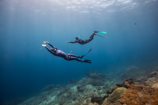 Snorkeling and Freediving Trip around Nusa Penida - The equipment is a real part of the value