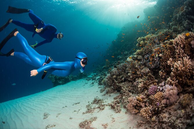 Snorkeling and Freediving Trip around Nusa Penida - Toyapakeh Wall brings the color