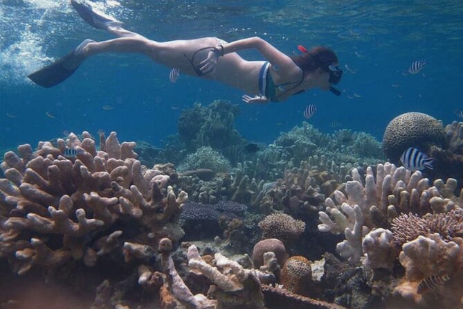 Snorkeling and Island Hopping Tour in Karimunjawa (sharing tour) - Returning after sunset