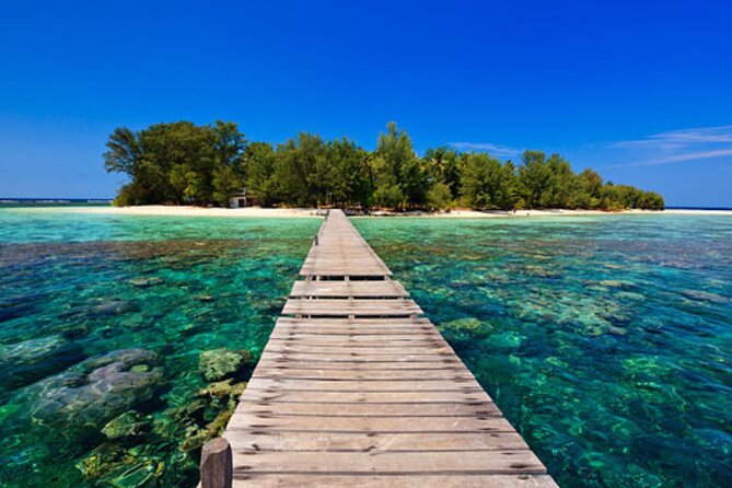 Snorkeling and Island Hopping Tour in Karimunjawa (sharing tour) - Underwater photos are a useful extra
