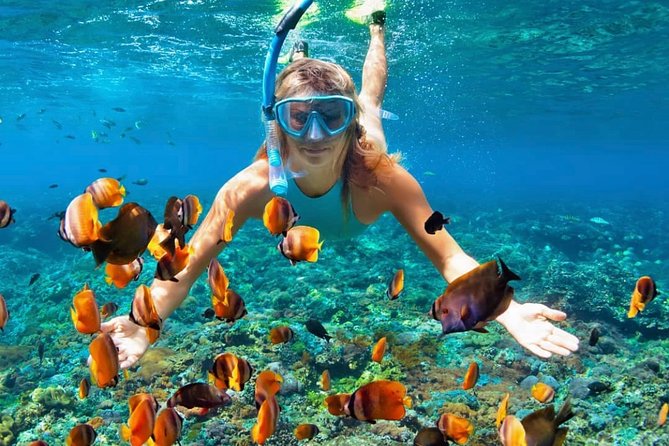 Snorkeling At Blue lagoon And Hidden waterfall - Why this Bali day trip works