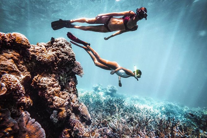Snorkeling At Blue lagoon And Hidden waterfall - What the $54 price includes
