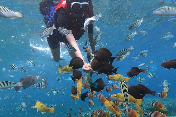 Snorkeling At Blue lagoon And Hidden waterfall - The practical value of the snorkeling setup