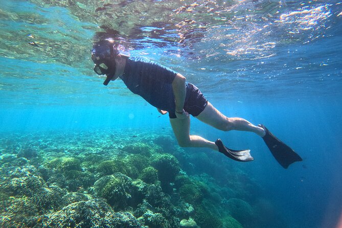 Snorkeling at Menjangan Island Bali Hidden Underwater Gem - Key points to know before booking