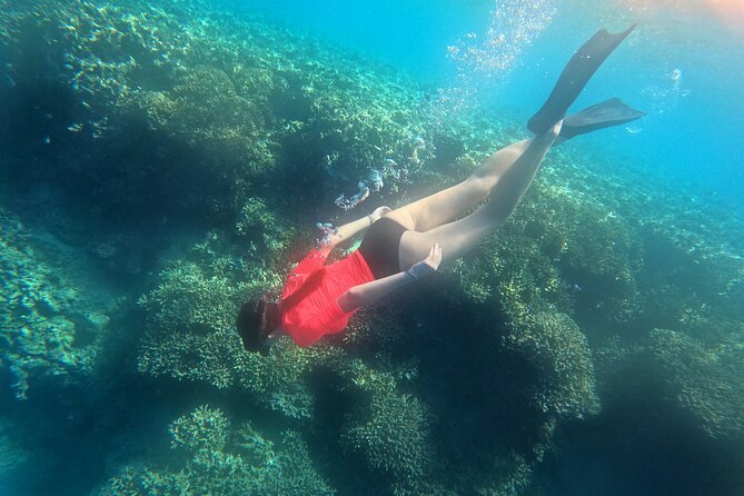Snorkeling at Menjangan Island Bali Hidden Underwater Gem - Why Menjangan feels different from southern Bali