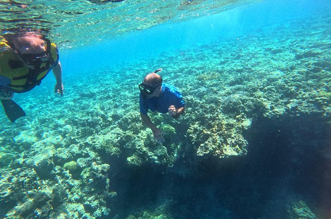 Snorkeling at Menjangan Island Bali Hidden Underwater Gem - Menjangan Island’s coral gardens and reef walls