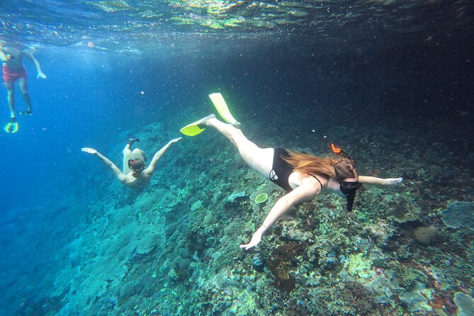 Snorkeling Day Trip to Nusa Lembongan and Nusa Penida - Key points at a glance