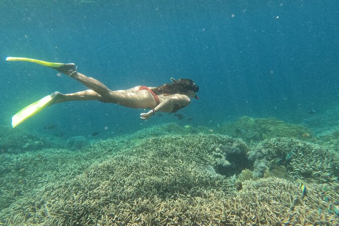 Snorkeling Day Trip to Nusa Lembongan and Nusa Penida - Getting from Seminyak to the water