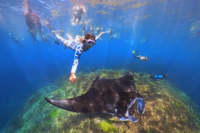 Snorkeling Day Trip to Nusa Lembongan and Nusa Penida - What the crew does well