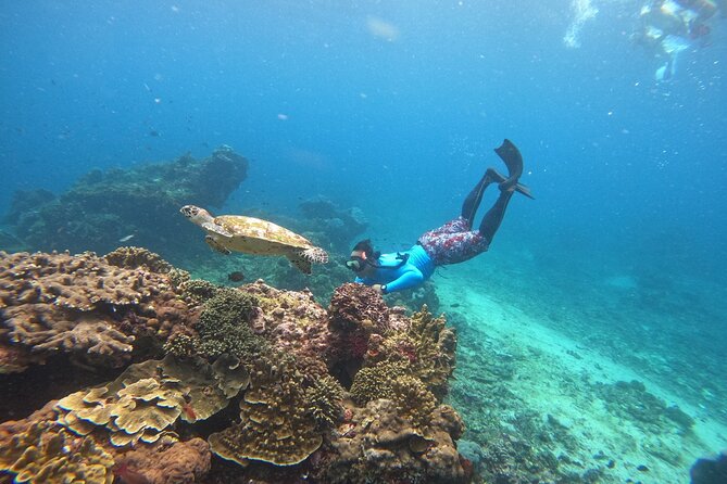 Snorkeling Day Trip to Nusa Lembongan and Nusa Penida - Is $42.55 a fair price?