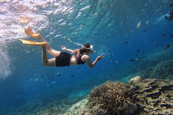 Snorkeling Day Trip to Nusa Lembongan and Nusa Penida - Three snorkeling areas around two islands