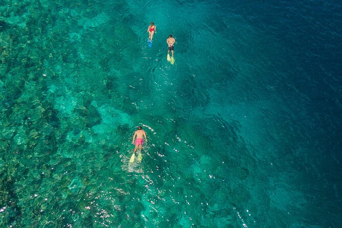 Snorkeling in Menjangan Island with Pickup and Lunch - First snorkeling session, 45 minutes to one hour