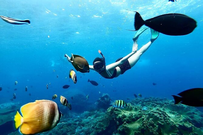 Snorkeling In Nusa Penida And Uluwatu Sunset Tours - Why this Bali day trip asks a lot from you