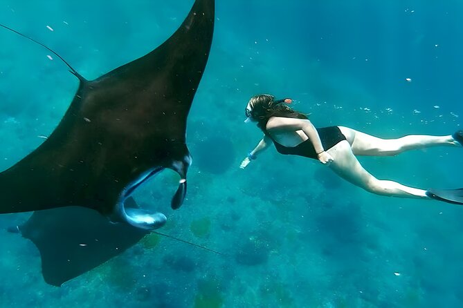 Snorkeling In Nusa Penida Departing From Bali Island - Key points to know before booking