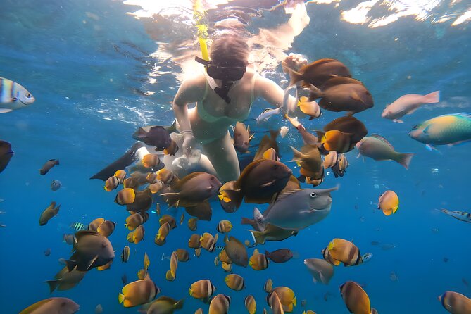 Snorkeling In Nusa Penida Departing From Bali Island - Crystal Bay and the reality of manta sightings