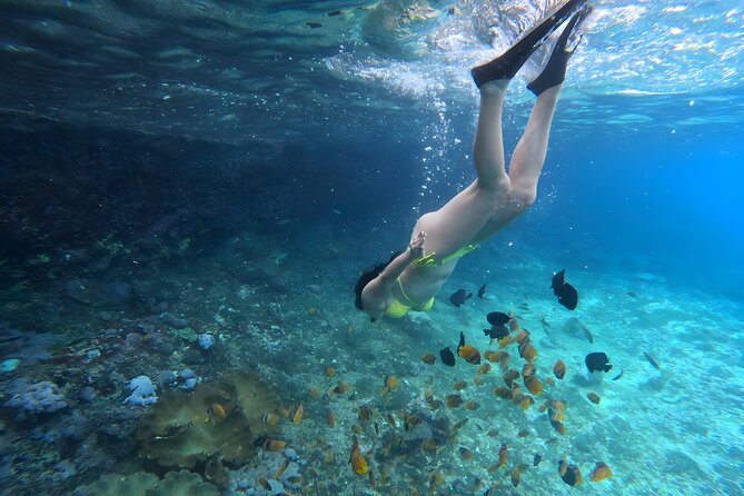 Snorkeling In Nusa Penida Departing From Bali Island - Wall Point: where conditions make the biggest difference