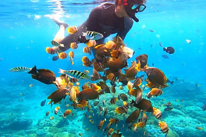 Snorkeling In Nusa Penida Departing From Bali Island - Nusa Penida port and the shared boat arrangement