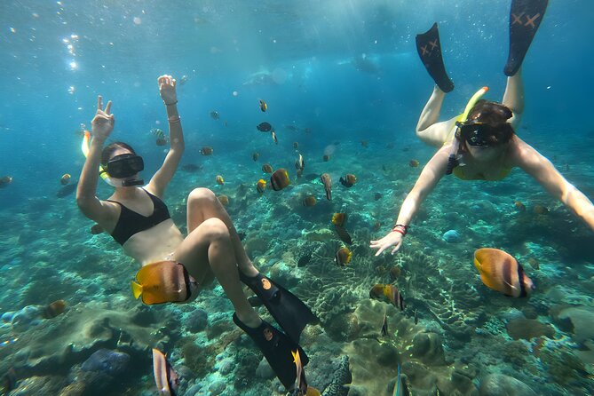 Snorkeling In Nusa Penida Departing From Bali Island - The return trip is tightly timed