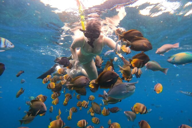 Snorkeling In Nusa Penida Island With Manta Ray From Bali - Leaving Seminyak at 6:30 a.m.