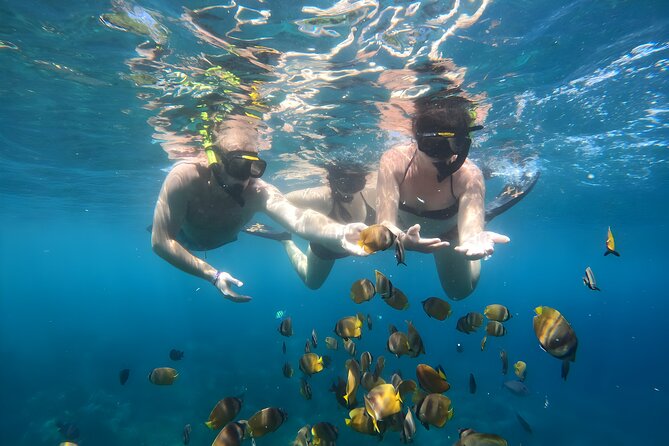 Snorkeling In Nusa Penida Island With Manta Ray From Bali - What the $95 price really covers
