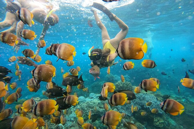 Snorkeling In Nusa Penida Island With Manta Ray From Bali - Guides, photos, and service quality