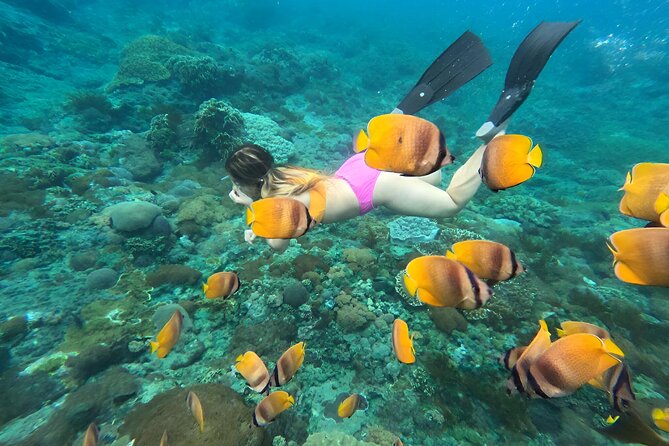 Snorkeling In Nusa Penida Island With Manta Ray From Bali - Who will enjoy this six-hour outing
