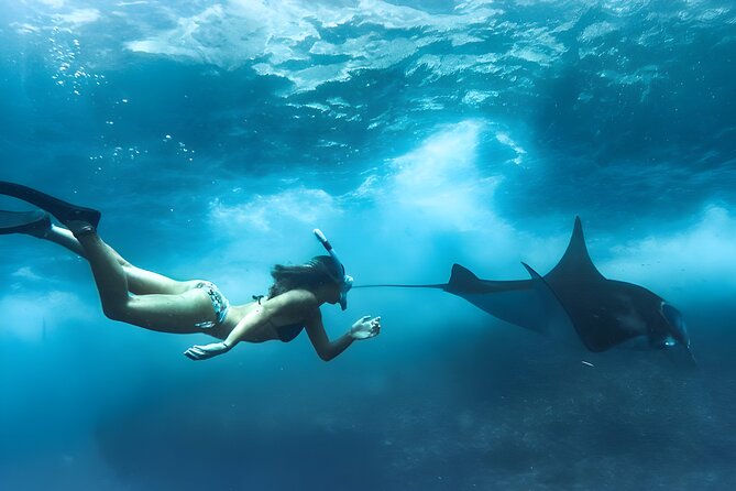 Snorkeling In Nusa Penida Island With Manta Ray From Bali - Gamat Bay: the first underwater stop