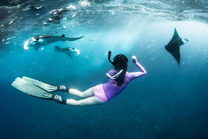 Snorkeling Manta Ray in Nusa Lembongan - Meeting at 8:00 am in Jungutbatu