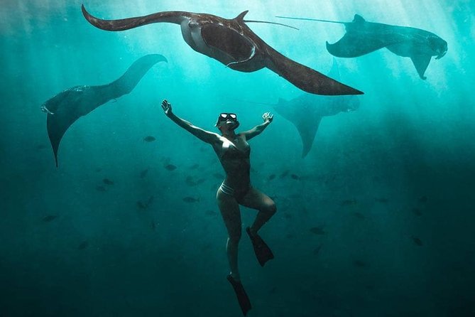 Snorkeling Manta Ray Safari in Nusa Penida - Quick take: what matters most