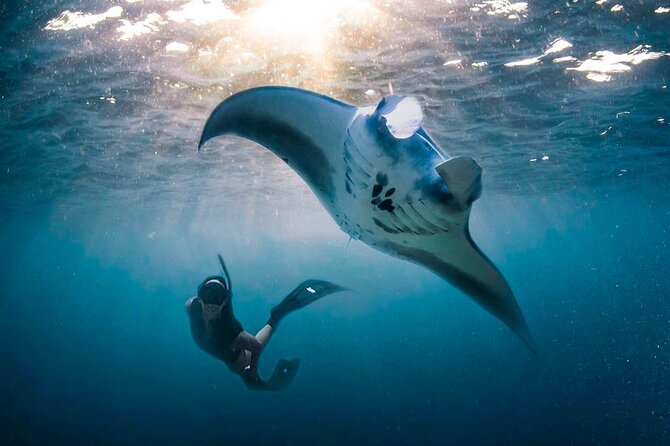 Snorkeling Manta Ray Safari in Nusa Penida - Crystal Bay Beach: coral, fish, and changing conditions