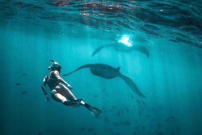 Snorkeling Manta Ray Safari in Nusa Penida - Wall Point: the final possible snorkeling site