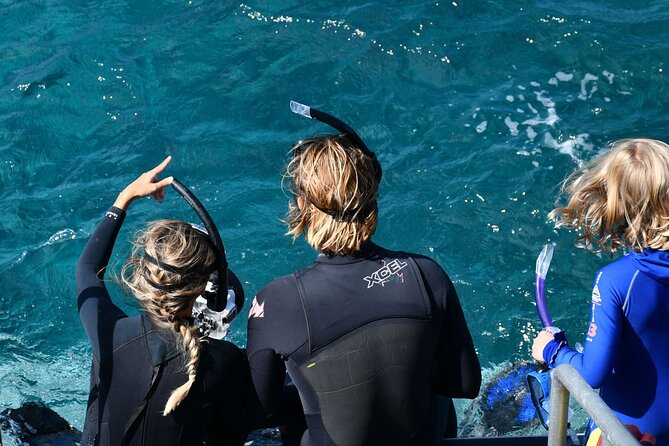 Snorkeling Manta Rays, Land Tour Tembeling Pool & Kelingking - Lunch at El Moon Penida before the road tour