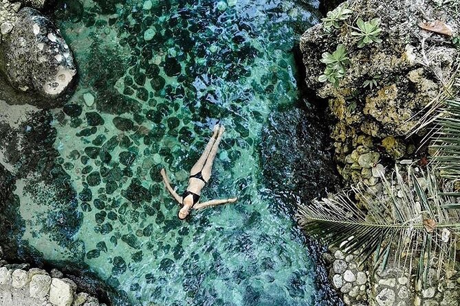 Snorkeling Manta Rays, Land Tour Tembeling Pool & Kelingking - Gamat Bay: fish, clear water, and another chance