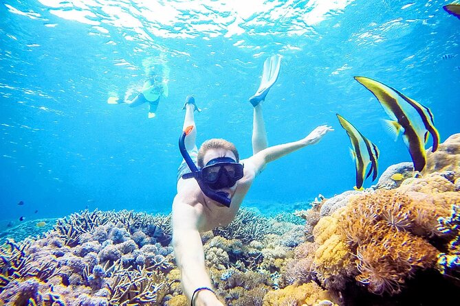 Snorkeling Nusa Penida and Island Tour Package - Three snorkeling stops around Nusa Penida
