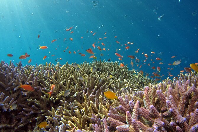 Snorkeling Nusa Penida and Island Tour Package - Toyapakeh and your first look at the island