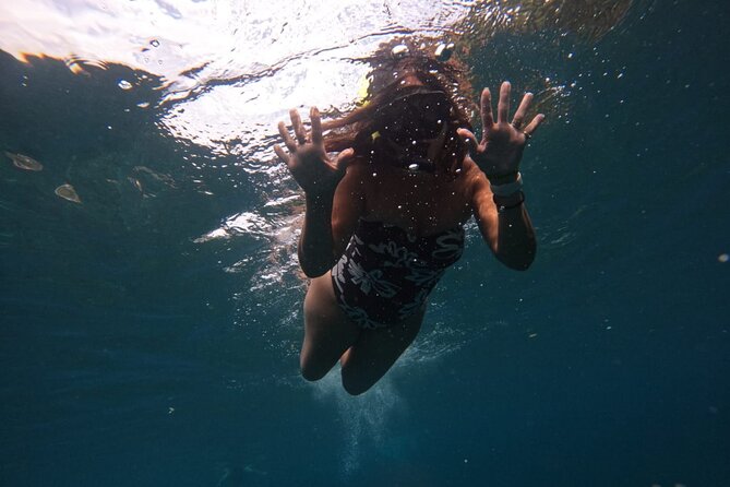 Snorkeling Nusa Penida and Island Tour Package - Kelingking Beach and its famous cliff view