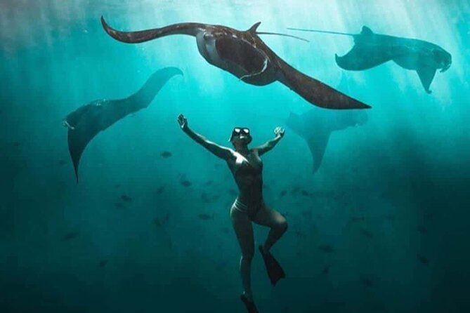 Snorkeling Nusa Penida and Island Tour Package - Crystal Bay, a calmer final beach stop