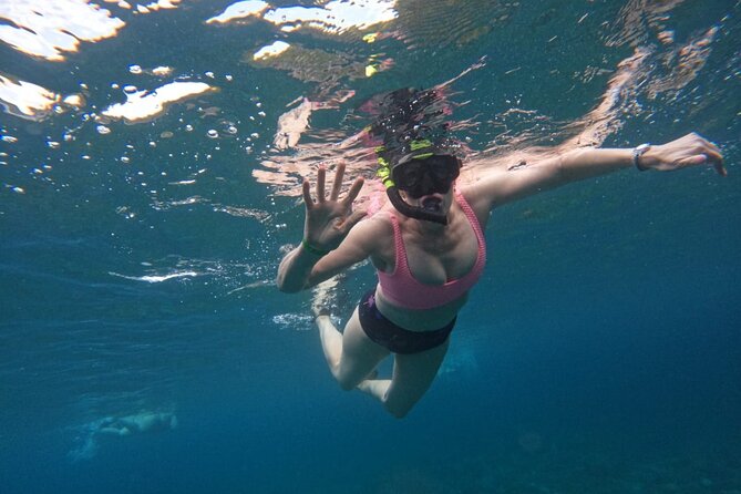 Snorkeling Nusa Penida and Island Tour Package - How private is this private tour?