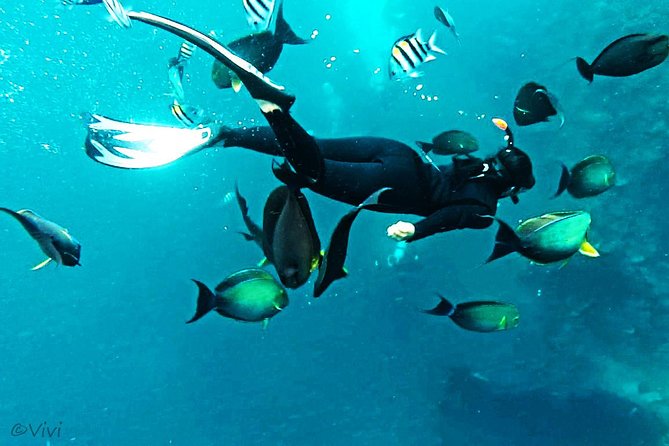 Snorkeling Package at Tulamben Liberty Shipwreck - The 7:00 AM pickup and the road to Tulamben