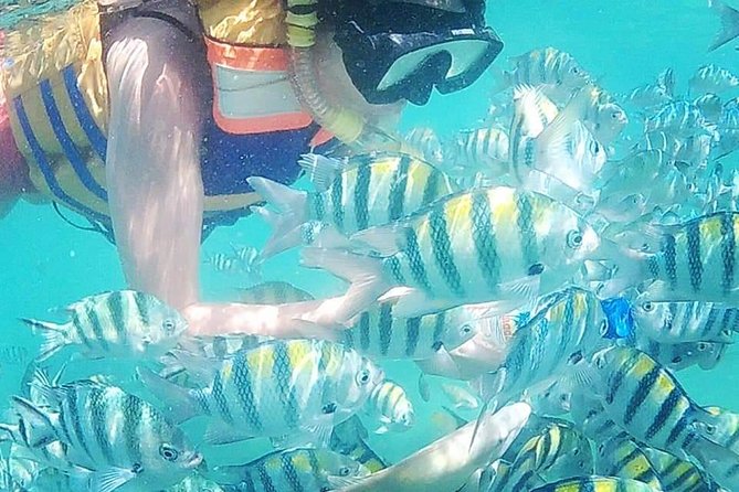 Snorkeling Tour In Gili Islands Pick Up From Lombok Or Gili - Key details at a glance