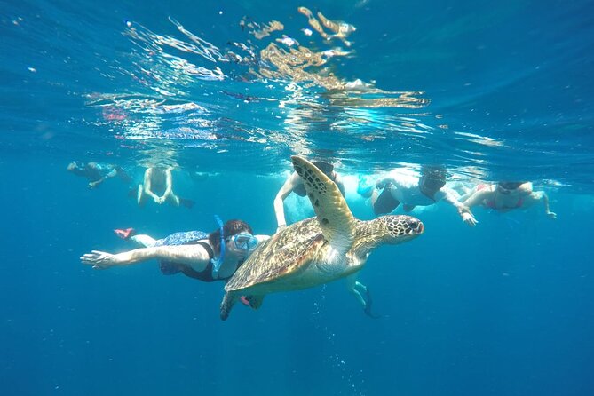 Snorkeling Tour In Gili Islands Pick Up From Lombok Or Gili - Gili Air: the final snorkeling stop