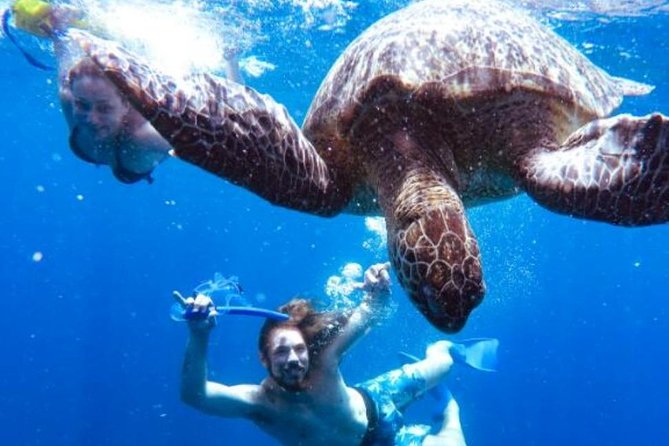Snorkeling Tour In Gili Trawangan, Gili Meno And Gili Air Pick Up From Bali - Why this Bali to Gili day trip appeals