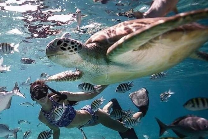 Snorkeling Tour In Gili Trawangan, Gili Meno And Gili Air Pick Up From Bali - The early start and ride from Bali