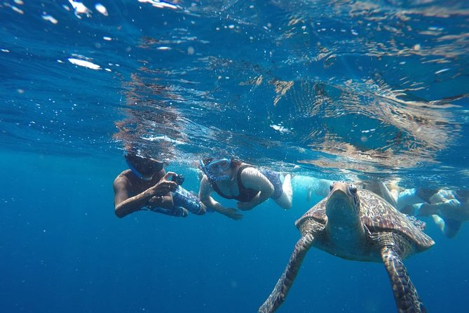 Snorkeling Tour In Gili Trawangan, Gili Meno And Gili Air Pick Up From Bali - Gili Trawangan: the first turtle stop