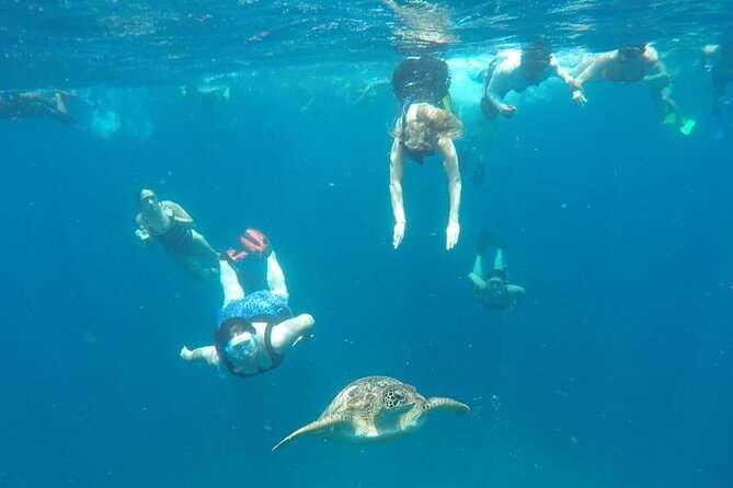 Snorkeling Tour In Gili Trawangan, Gili Meno And Gili Air Pick Up From Bali - Gili Meno: statues and another turtle area